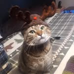 Tracy Lunn - @spaceytracy42 - Instagram