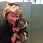 Tracy Lunn - @tracylunn1 - Instagram