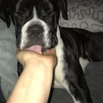 Tracy Lunness - @tracy_lunness - Instagram