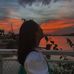 Tracy Luo - Facebook