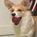 Tracy Luong - Facebook