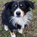 Tracy Luper - Facebook