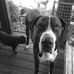 Tracy Lyles - Facebook