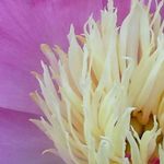 Tracy Mallon-Jensen - @tmjensen2766 - Instagram