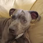 Tracy Mason - Facebook