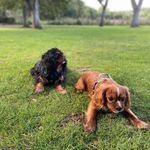 Tracy MB - @tracy.mallon - Instagram
