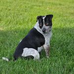 Tracy Maloy - @slinkie2007 - Instagram