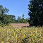 Tracy Manley - @cattailcountryfarm - Instagram