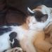 Tracey Mansfield - Facebook