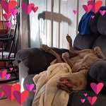 Tracy Potter Mantooth - @pottermantooth - Instagram