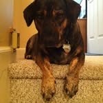 Tracy Manzo - @tracetracebaby - Instagram