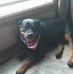 Tracy Marek - Facebook