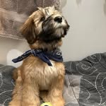 Tracy Marlatt - @marlatty - Instagram