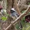 Tracy Marr - @tracy.marr7 - TikTok
