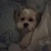tracymarr8 - @tracymarr8 - TikTok