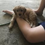 Tracy Masters - @tracymasters7 - Instagram