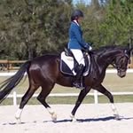 Tracy Masterson - @tracymastersondressage - Instagram
