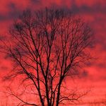 Tracy Mattice - @tsase23 - Instagram