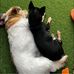 Tracey Mattison - Facebook