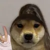 user2334343595507 - @tracymau7 - TikTok