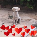 Tracy Maxfield - @maxfieldtracy73 - Instagram