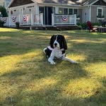Tracy McCaffrey Wood - @twood9971 - Instagram