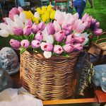 Tracy Mccartney - @tracysprimitivesfarmhouse - Instagram