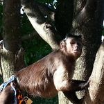 Tracy McCartney - @tracy.mccartney.505 - Instagram