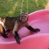 tracymccartney337 - @tracymccartney337 - TikTok