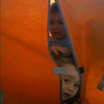 Tracey Mcconkey - @mcconkeytracey - Instagram