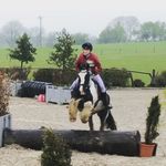 Tracy McConkey - @tracymcconkey - Instagram