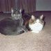 Tracy McConkey - Facebook