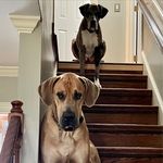 Tracy McConkey Tate - @tracymtate - Instagram