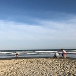 Tracy McCool Marlowe - @tracy.marlowe - Instagram