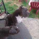 Tracy McCrory - @tracymccrory23 - Instagram