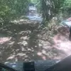 trace mcelroy - @trace.mcelroy - TikTok