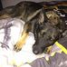 Tracy McElroy - Facebook