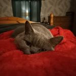 Tracy McEwan - @mcewan891 - Instagram