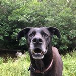 Tracy McFarland - @mcfarland2189 - Instagram