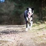 Tracy McFarlane - @_tracy_mcfarlane - Instagram