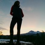 Tracy McFarlane - @pinecones_and_rocks - Instagram