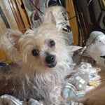 Tracy McGee - @tracymcgee30 - Instagram