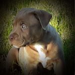Tracy McGee - @tracy.mcgee.750 - Instagram