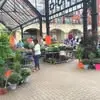 Tracy Mcgee - @tracy.mcgee3 - TikTok