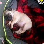 Tracy Mc Ghee - @tracy.mcghee.1420 - Instagram