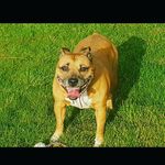 tracy mcghee - @mcghee.t - Instagram