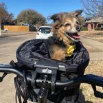 Traci McGlynn - @traci0119 - Instagram