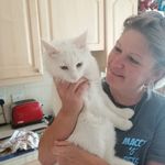 Tracy McGowan - @maccygpets - Instagram