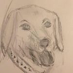 Tracy McGowan - @tracy.mcgowan.39 - Instagram