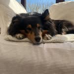 Tracy McGowan - @tcmcgowan - Instagram